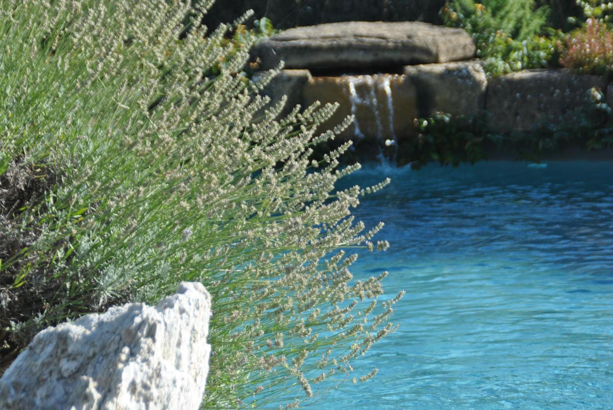 Agriturismo Campo Del Pillo Pietradura Екстер'єр фото