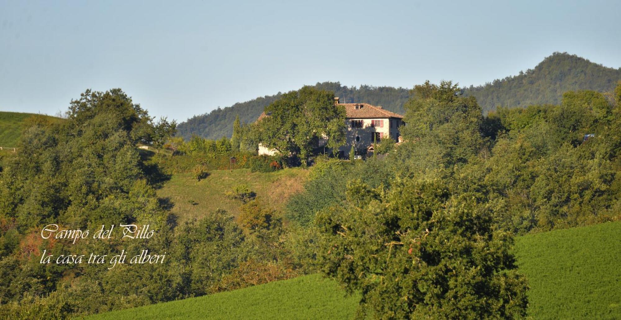 Agriturismo Campo Del Pillo Pietradura Екстер'єр фото