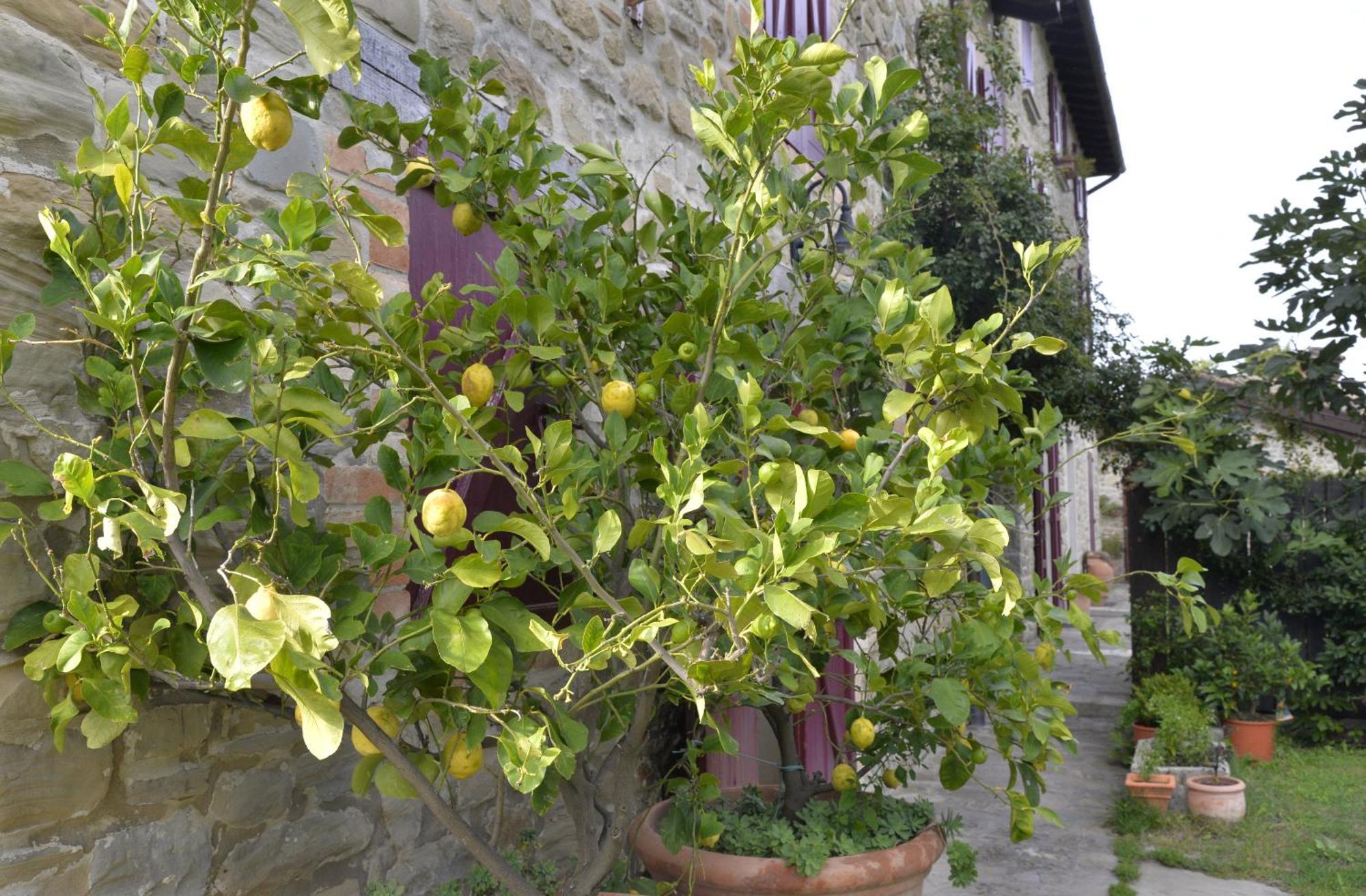 Agriturismo Campo Del Pillo Pietradura Екстер'єр фото