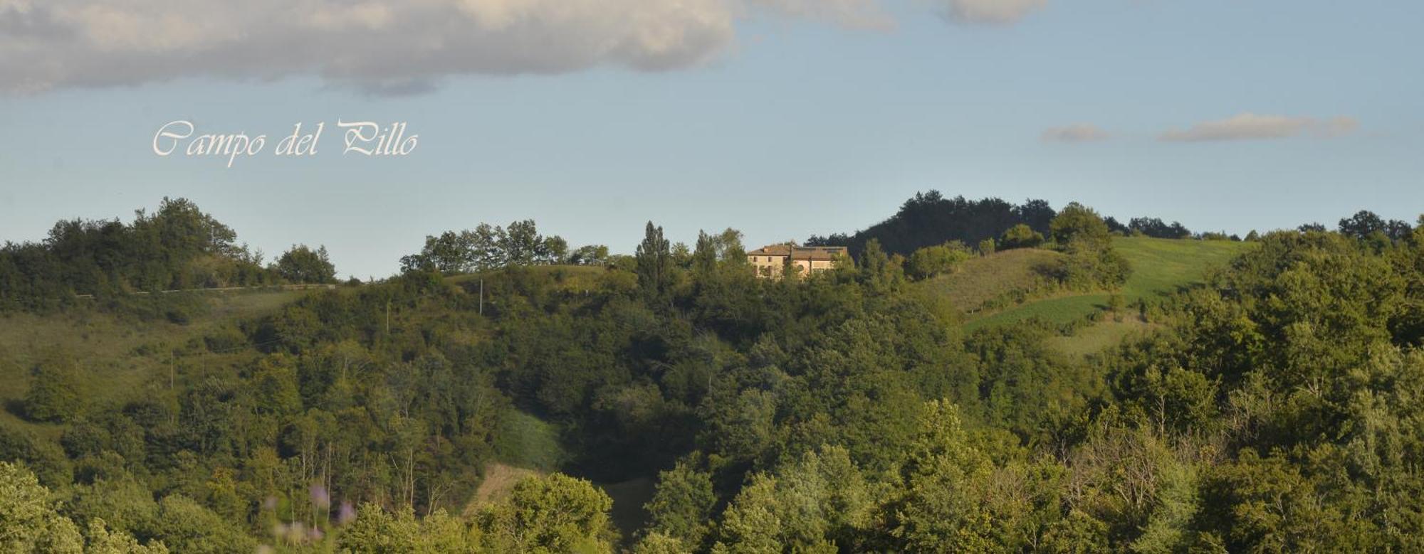 Agriturismo Campo Del Pillo Pietradura Екстер'єр фото