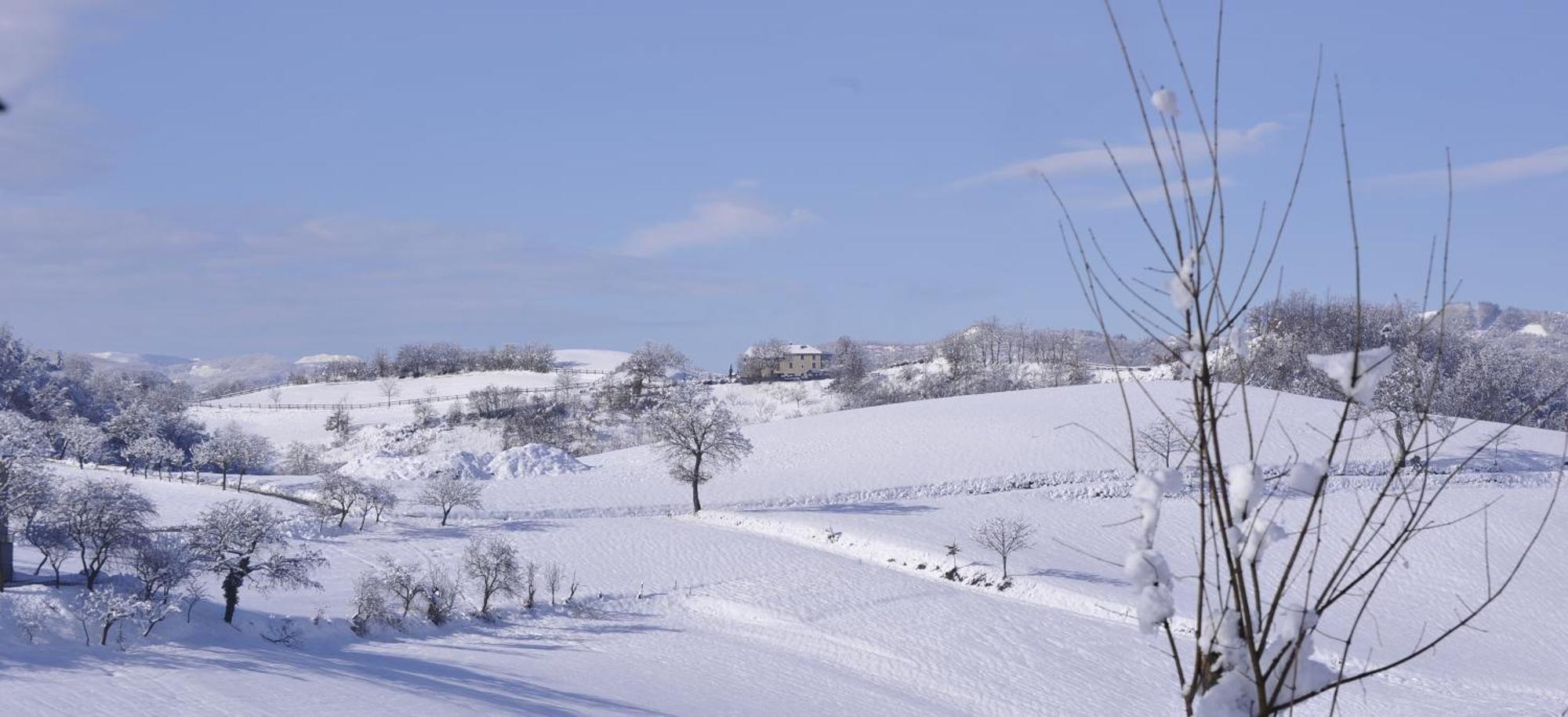 Agriturismo Campo Del Pillo Pietradura Екстер'єр фото