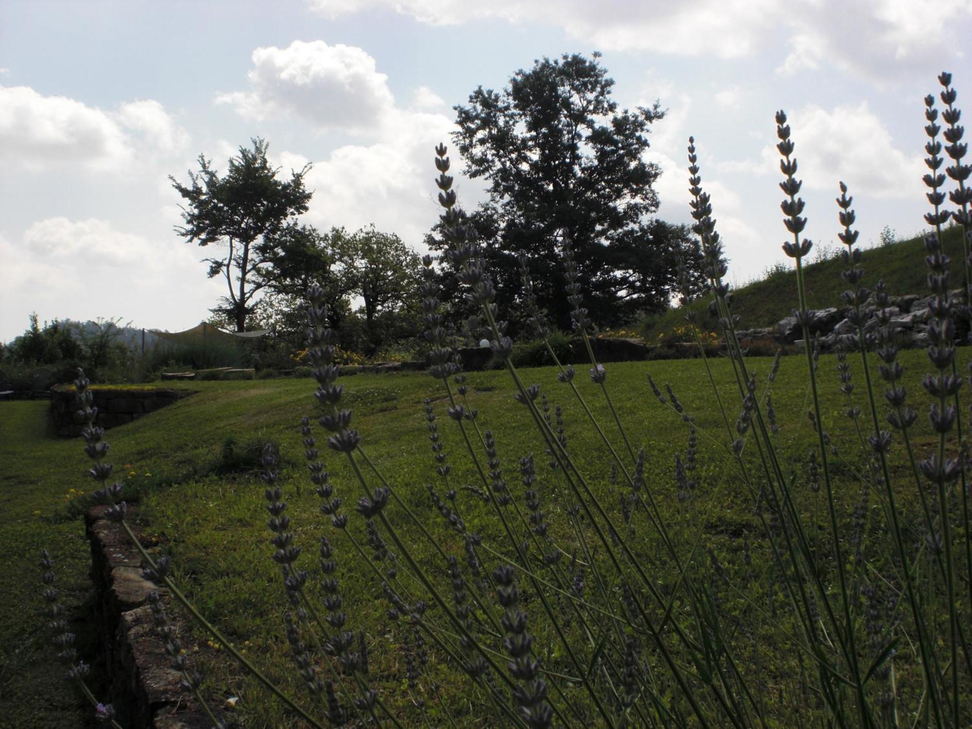 Agriturismo Campo Del Pillo Pietradura Екстер'єр фото